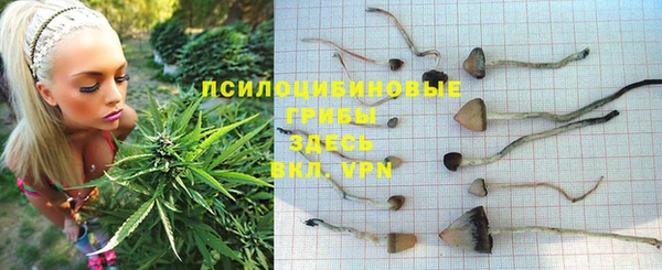кокс Ладушкин