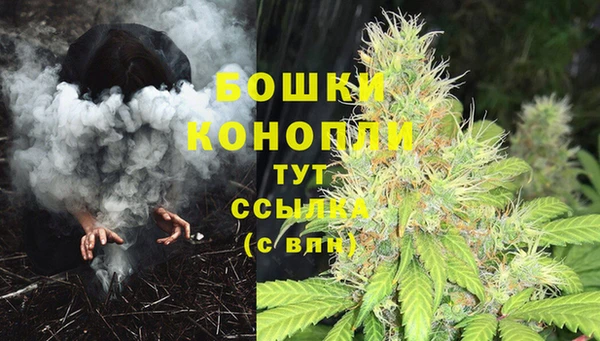 кокс Ладушкин