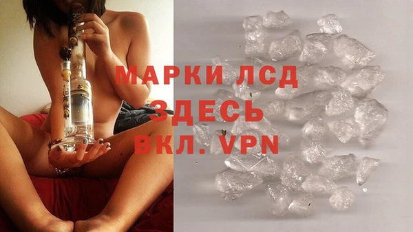 хмурый Бикин