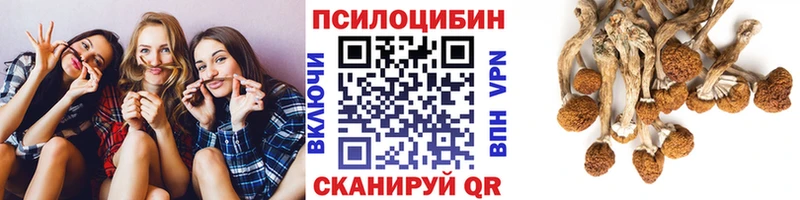 Псилоцибиновые грибы мицелий  Лесной 
