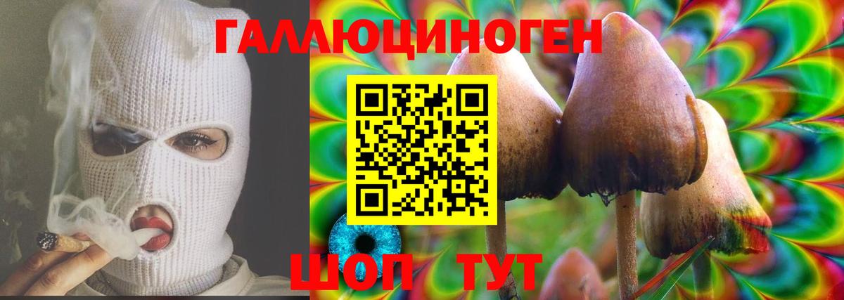 Псилоцибиновые грибы Magic Shrooms Лесной