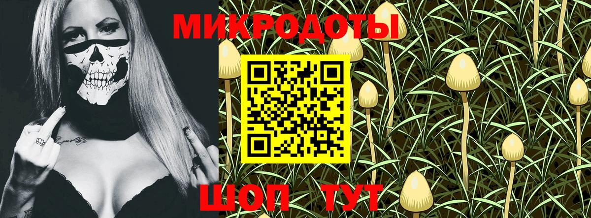 Галлюциногенные грибы прущие грибы  Вход с VPN  Лесной 